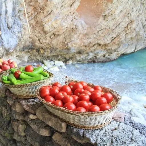 Adriatic Fish Picnic Trip