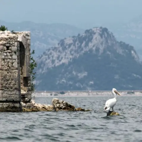 Skadar Lake Trip
