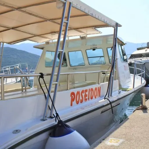 Adriatic Fish Picnic Trip