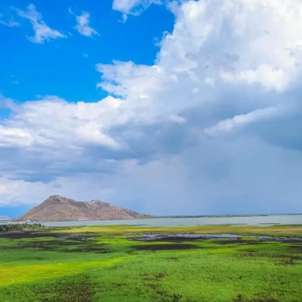 Skadar Lake Trip