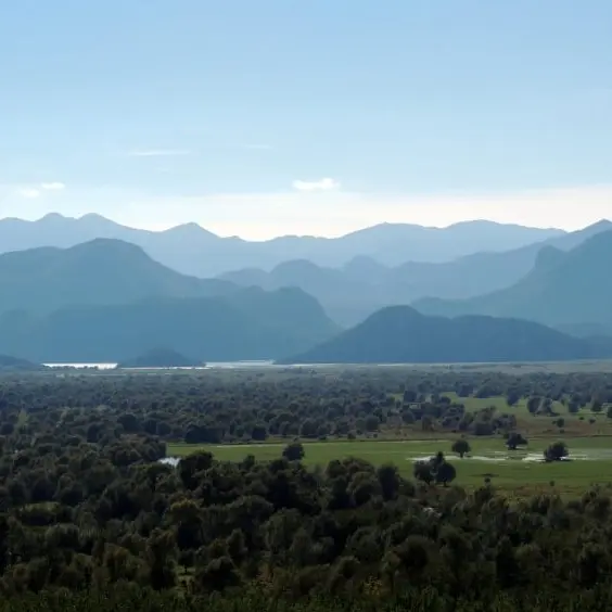 Skadar Lake Trip