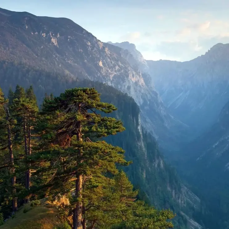 Canyons of Montenegro Trip